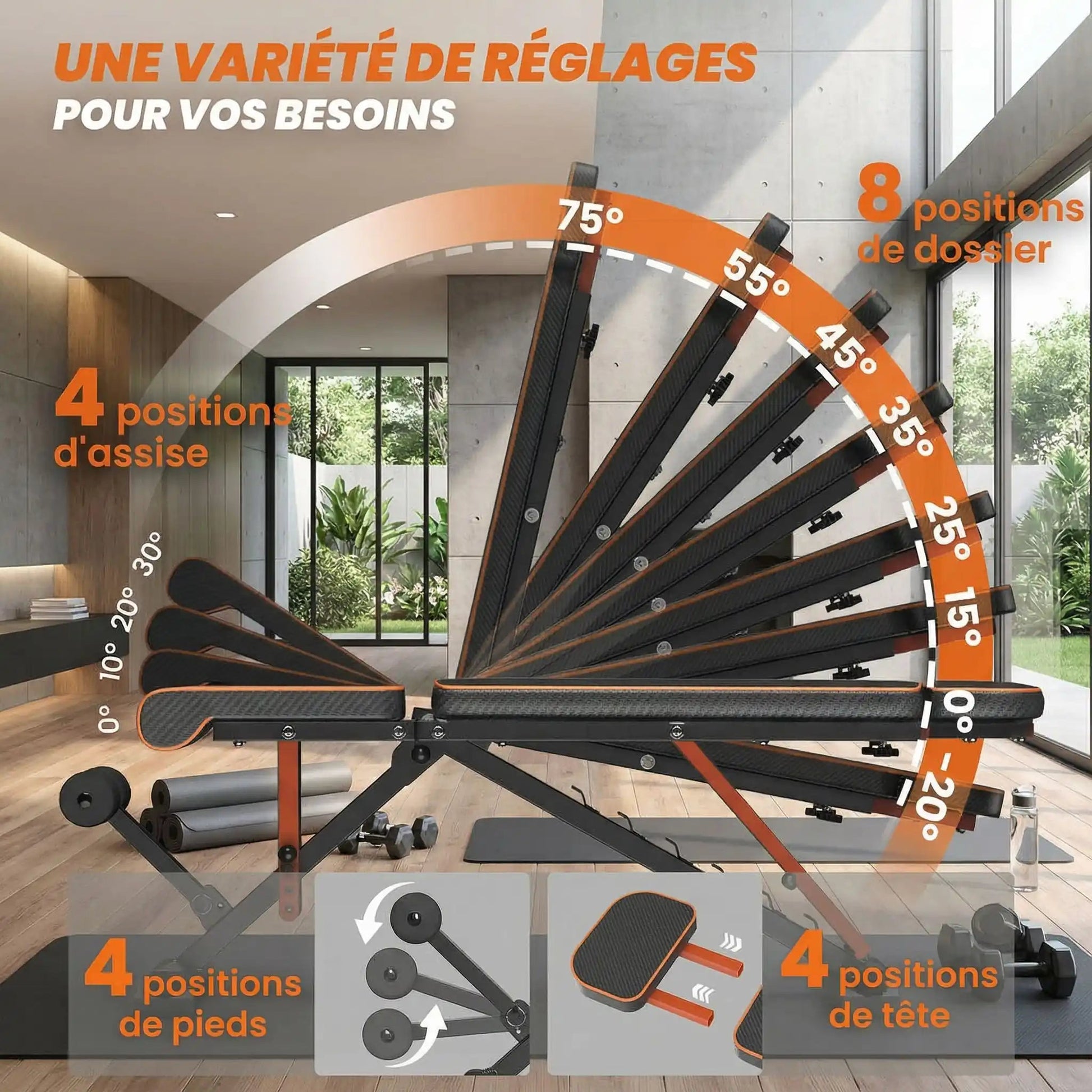 banc de musculation pro fit angles possible 