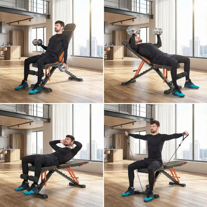 banc de musculation pro fit positions possibles 